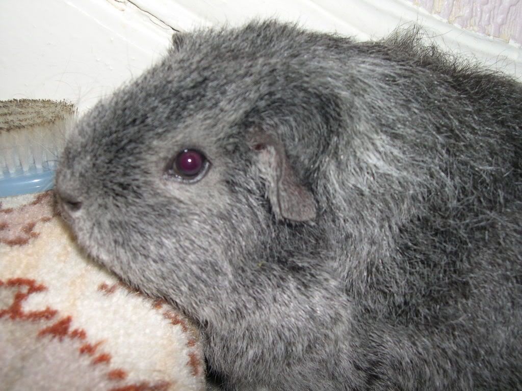 DSCN2269.jpg
