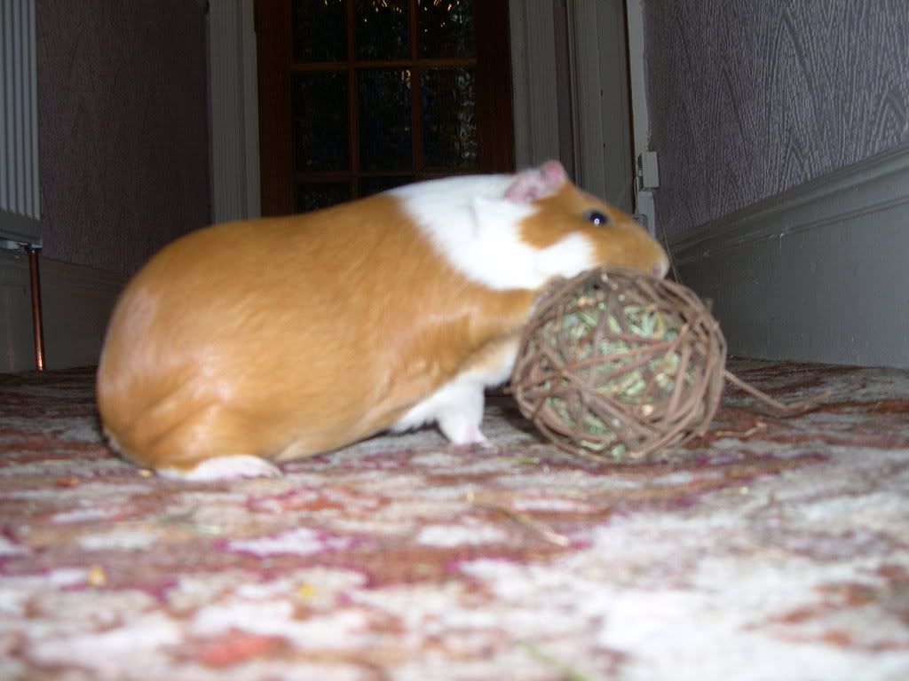 DSCN2300.jpg