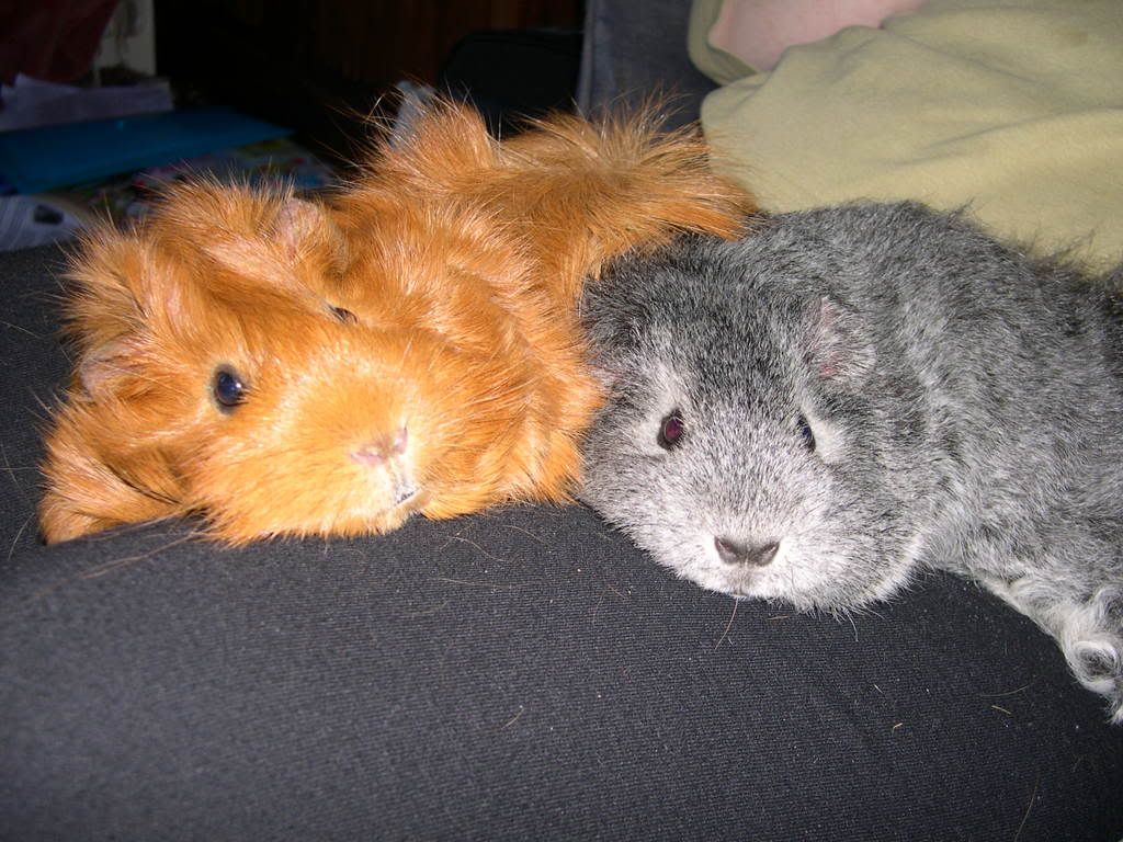 DSCN2336.jpg