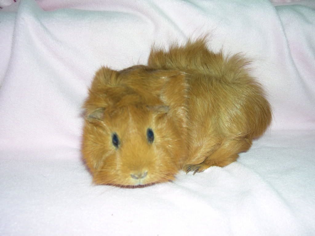 DSCN2391.jpg