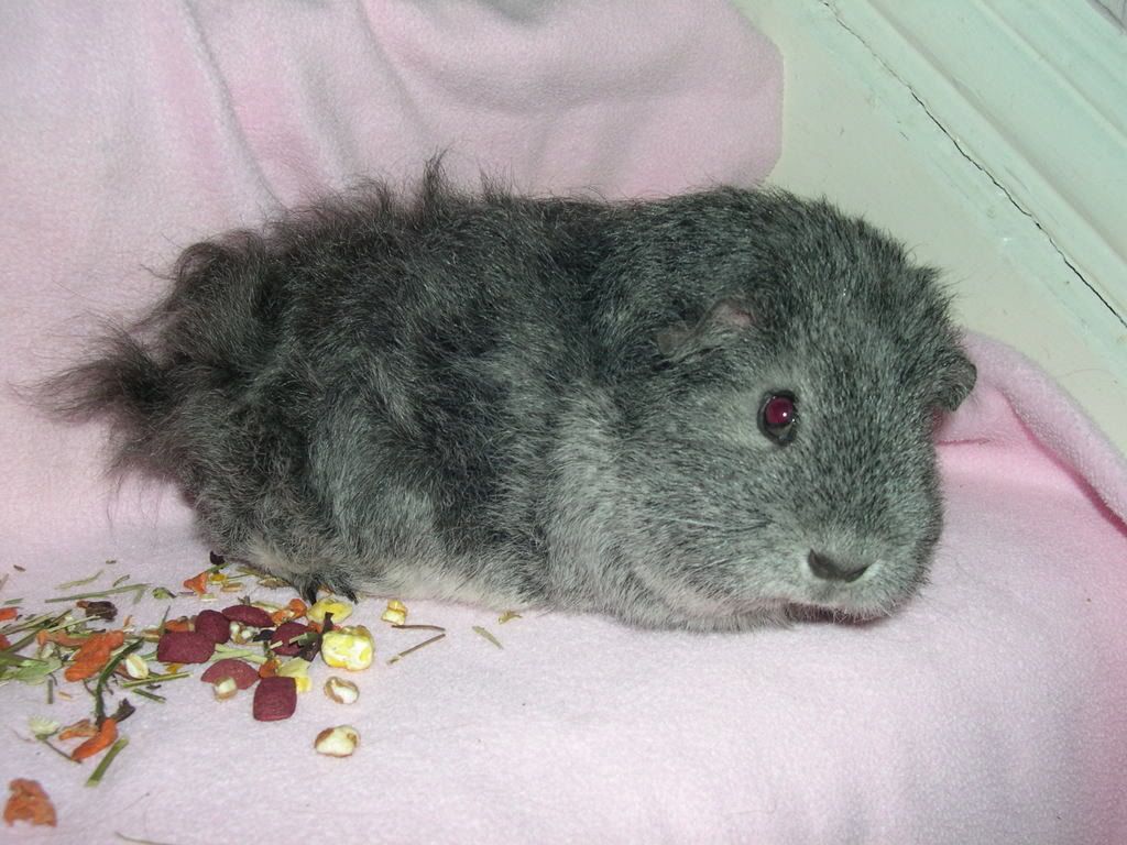DSCN2395.jpg