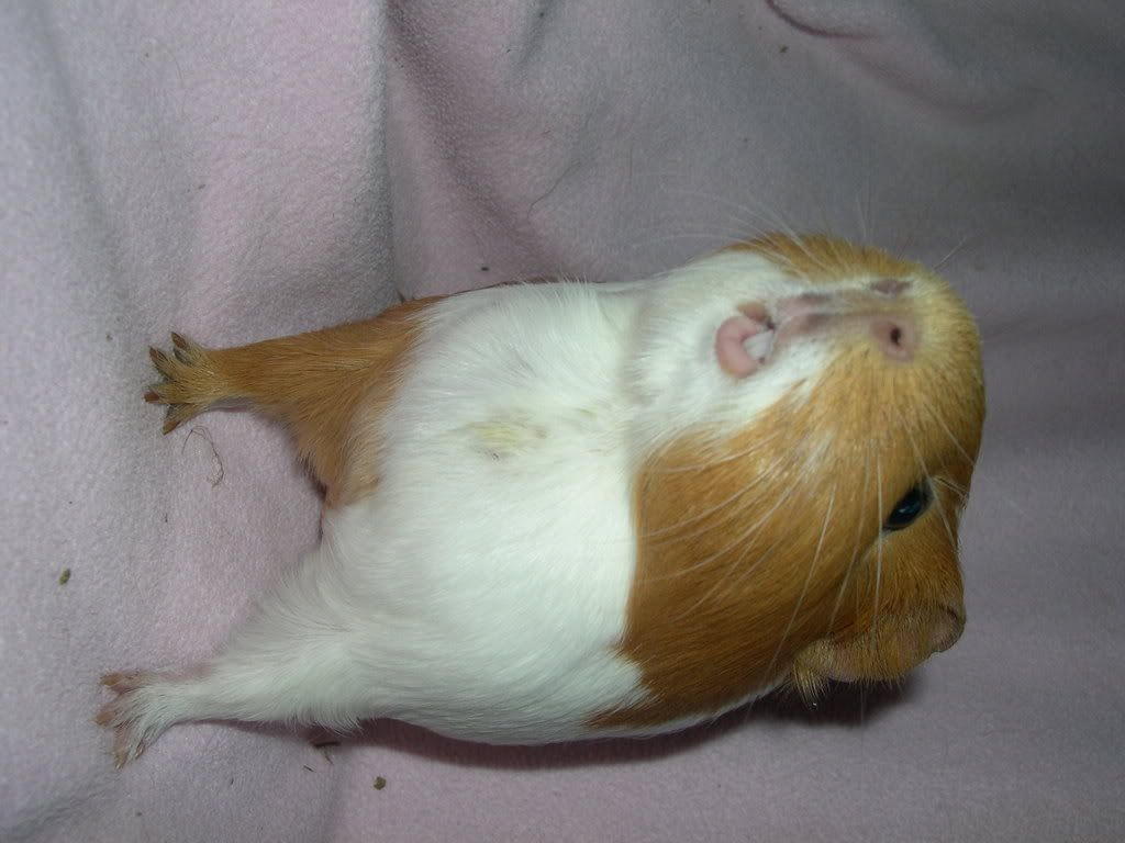 DSCN2441.jpg