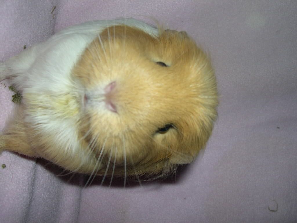 DSCN2444.jpg