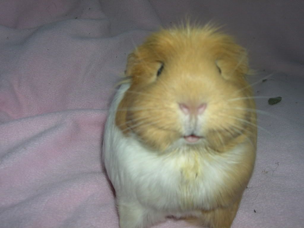 DSCN2447.jpg
