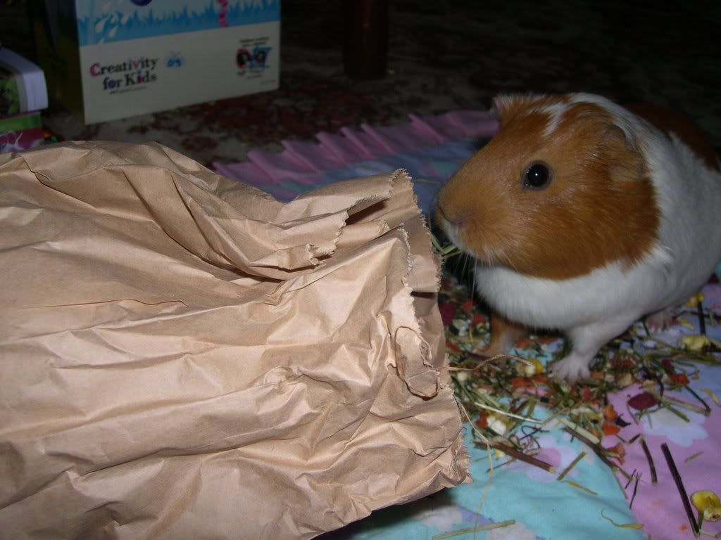 DSCN2474.jpg