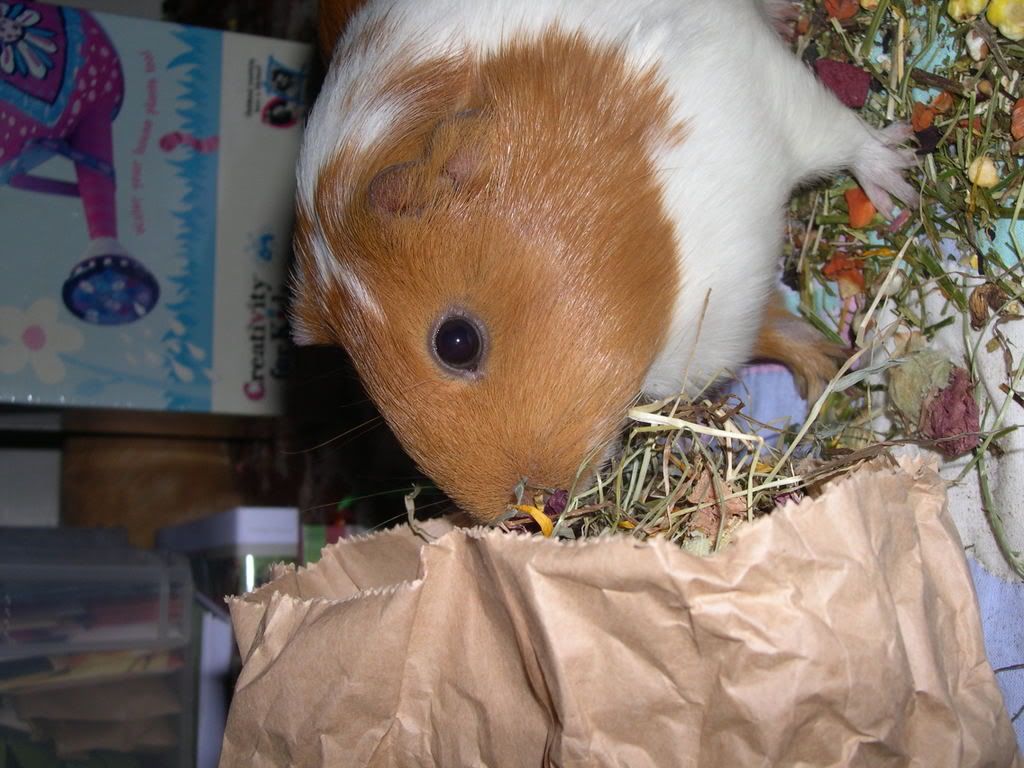 DSCN2476.jpg