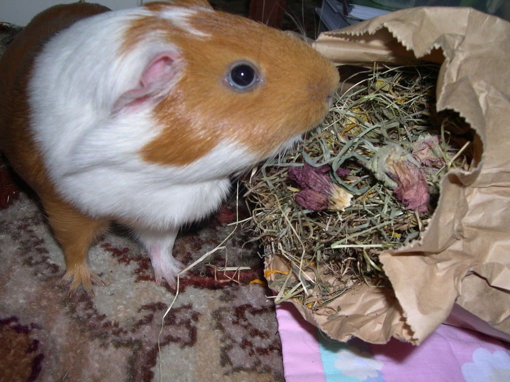 DSCN2477.jpg