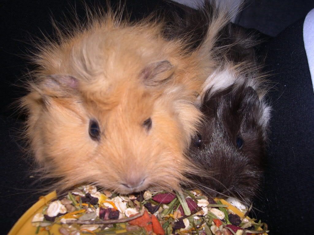 DSCN2493.jpg