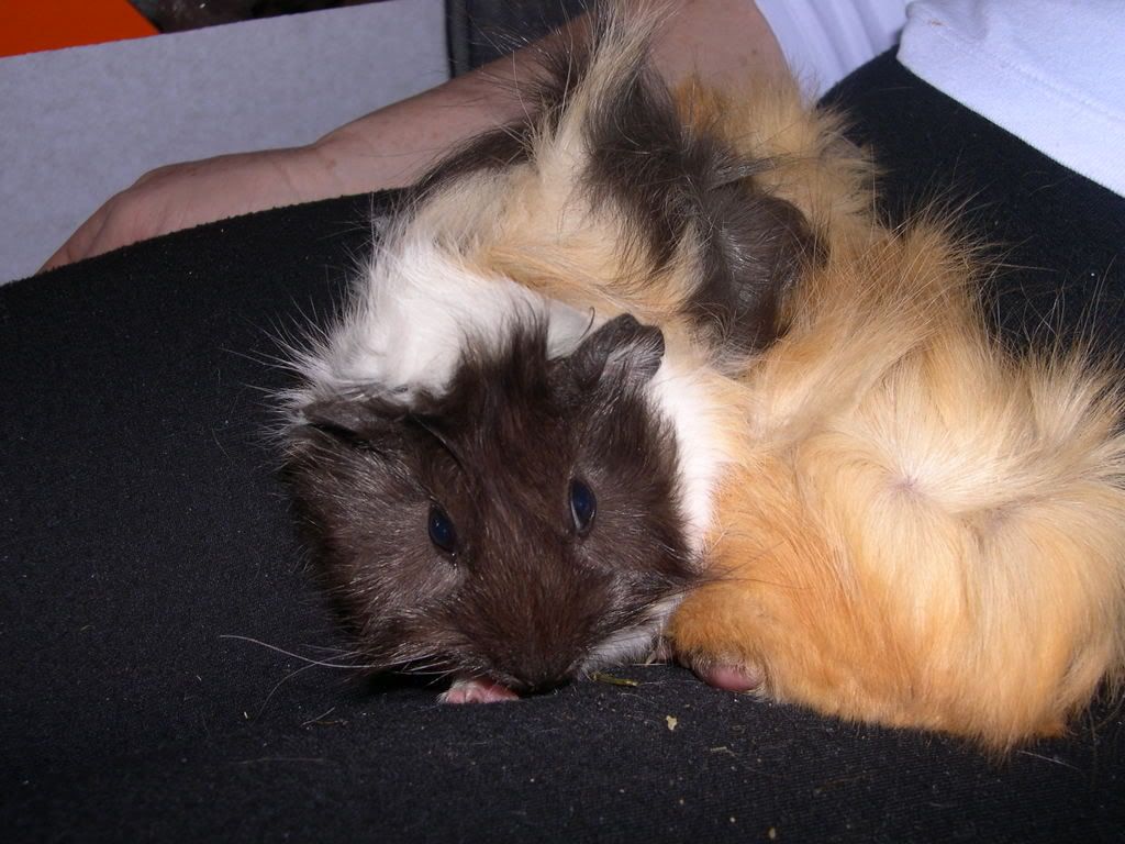 DSCN2495.jpg