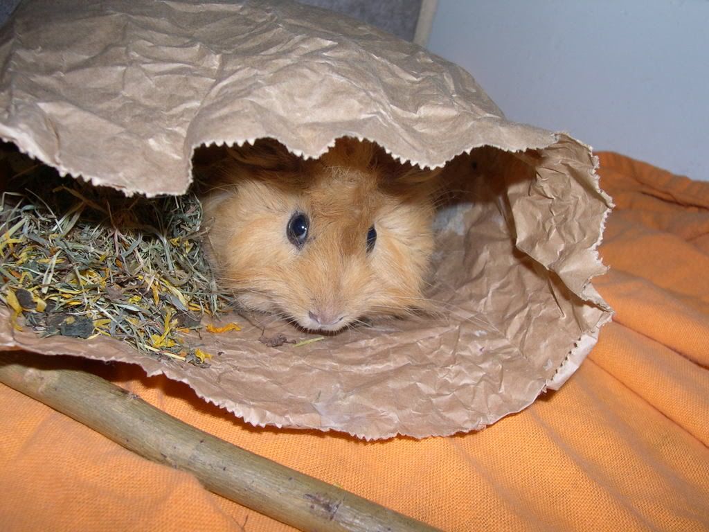 DSCN2565.jpg