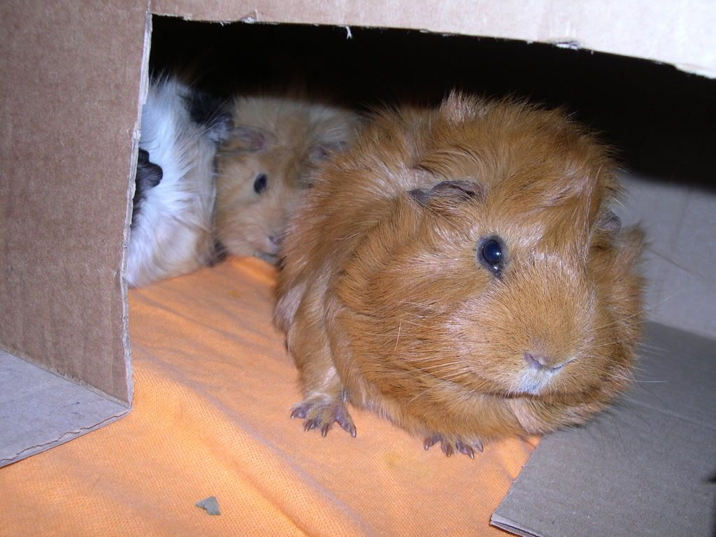 DSCN2573.jpg