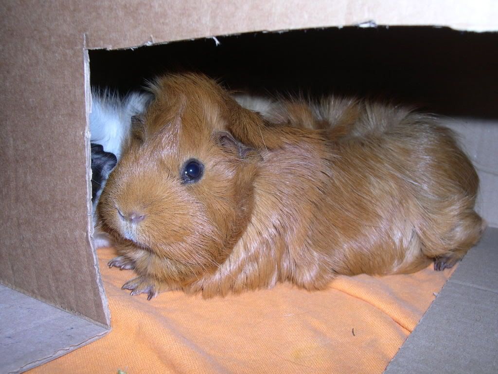 DSCN2575.jpg