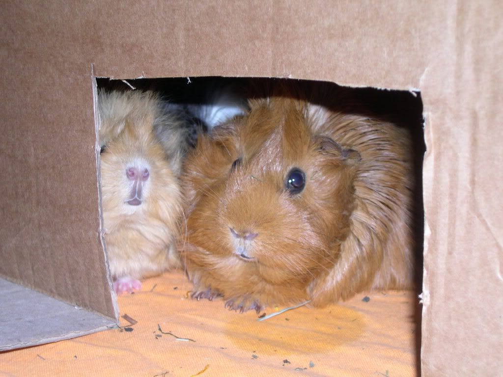 DSCN2578.jpg
