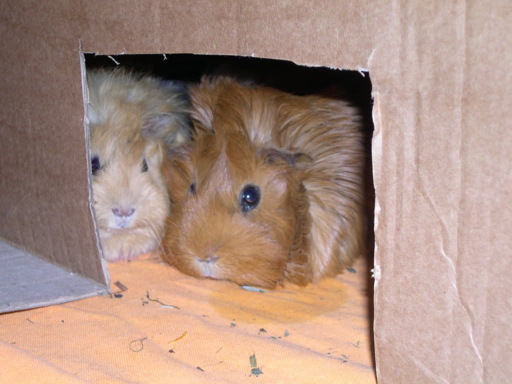 DSCN2579.jpg