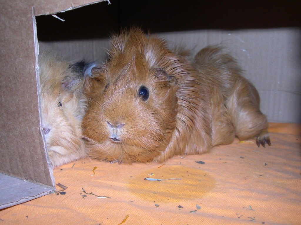 DSCN2581.jpg