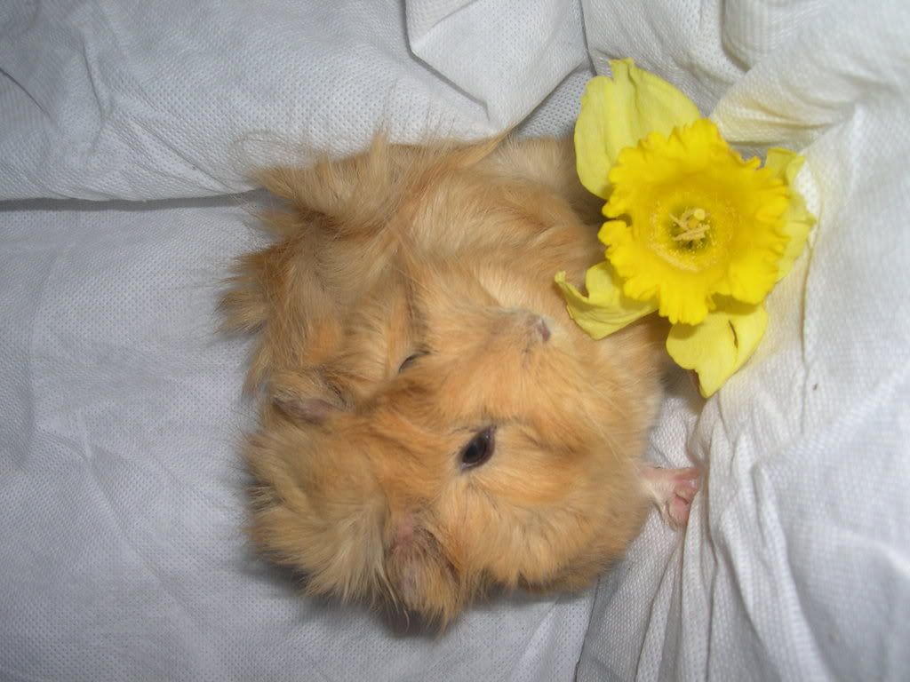 DSCN2615.jpg