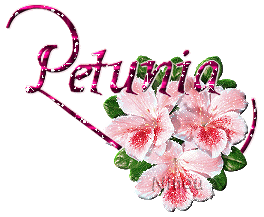 petunia001