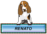 renato003