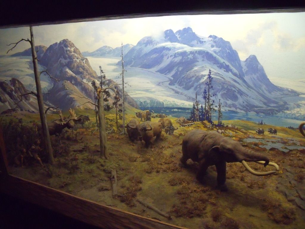 Another Great Museum Diorama