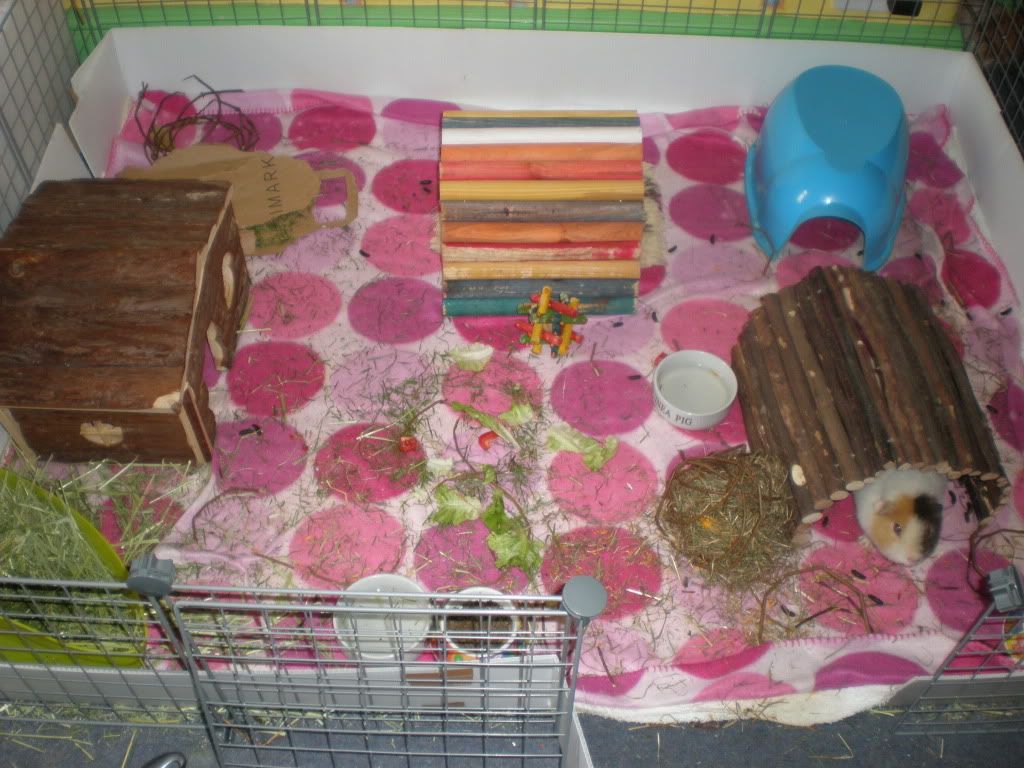 004-10.jpg