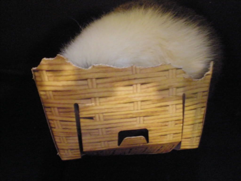 005-10.jpg